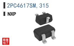 2PC4617SM,315