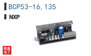 BCP53-16,135