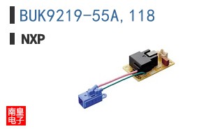 BUK9219-55A,118