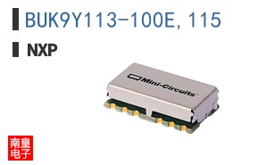 BUK9Y113-100E,115