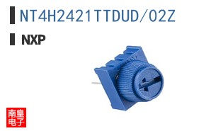 NT4H2421TTDUD/02Z