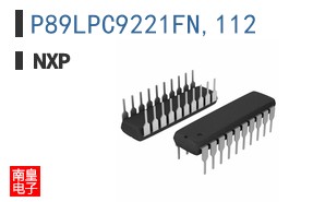 P89LPC9221FN,112