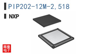 PIP202-12M-2,518
